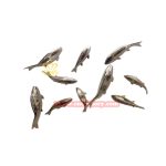 Mirror stainless steel fish sculpture